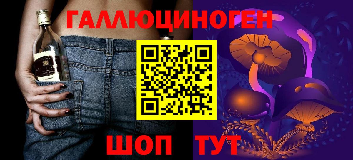 Муравленко  Галлюциногенные грибы прущие грибы  Вход с VPN 